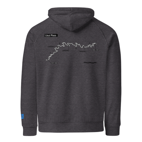 Team Usui Pass Hoodie — Charcoal melange raglan hoodie, back view