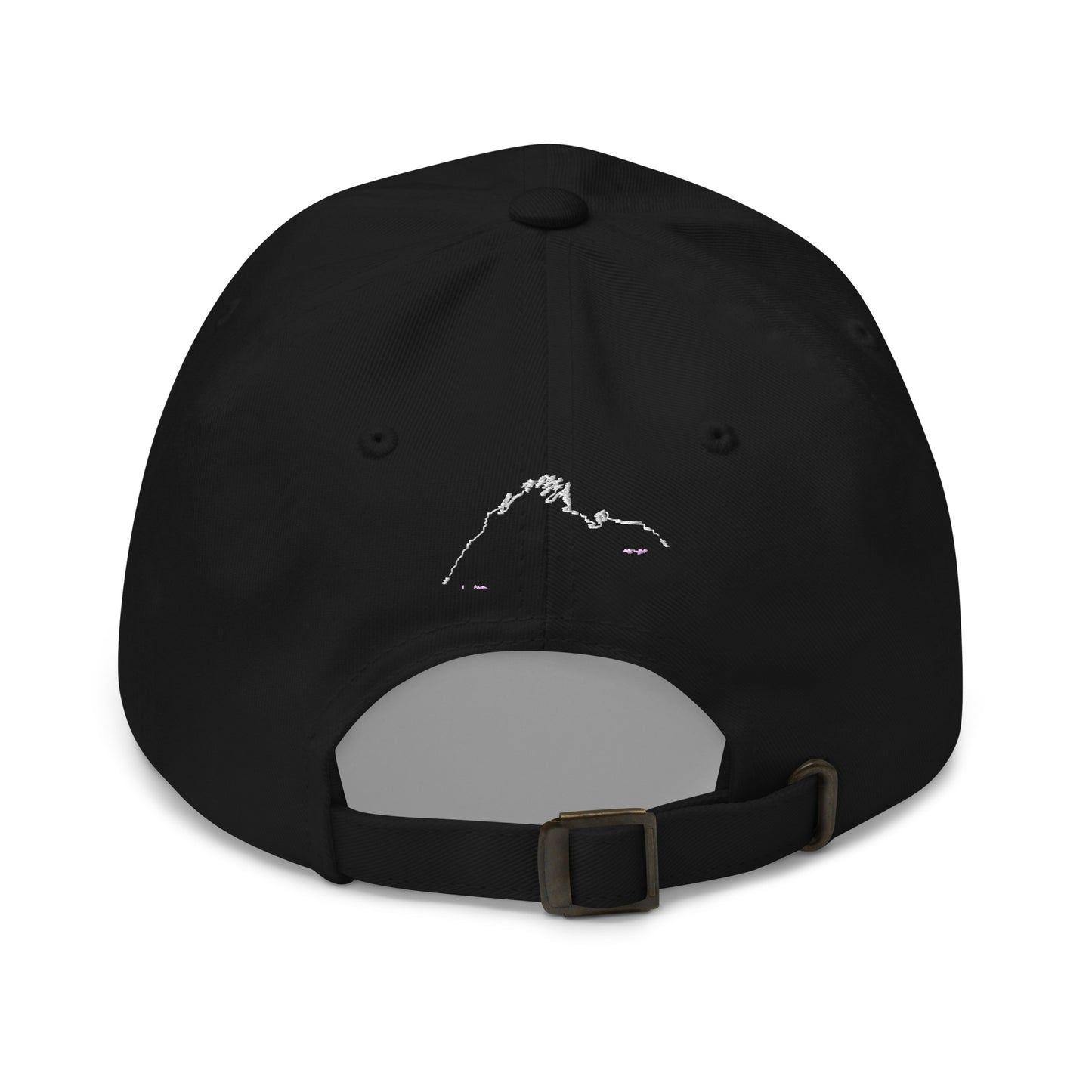 Team Iroha Dad hat